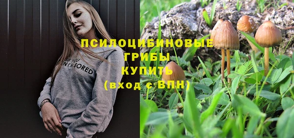 эйфоретик Верея