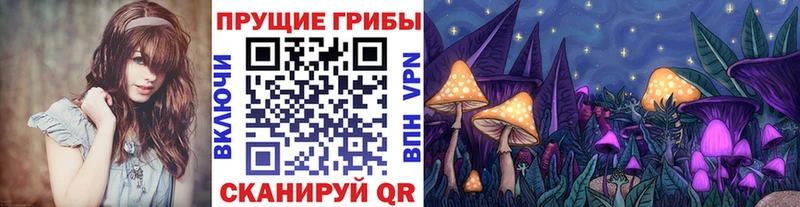 наркота  Жердевка  Галлюциногенные грибы Psilocybe 